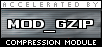 Accelerated by mod_gzip Compression Module